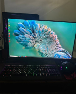 🚀 RTX 3070 Canavarı + 2K ROG Monitör – Full Gaming Setup! thumb 1